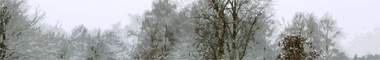 Snoway